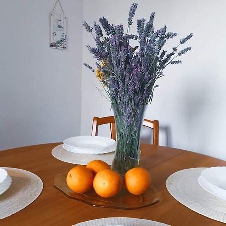 科佩尔Istrian House Mojca别墅 外观 照片