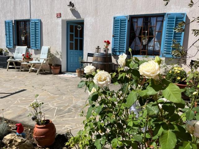 科佩尔Istrian House Mojca别墅 外观 照片